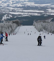 Bulgaria's Bansko Best Value for Ski Holidays